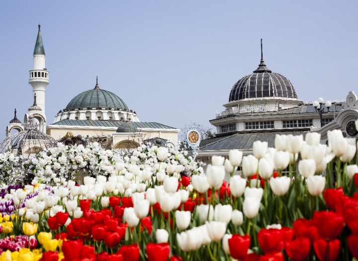 Korean Folk Village & Theme Park Tour (8 Hours)